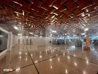 Showroom superfinisat, zona excelenta