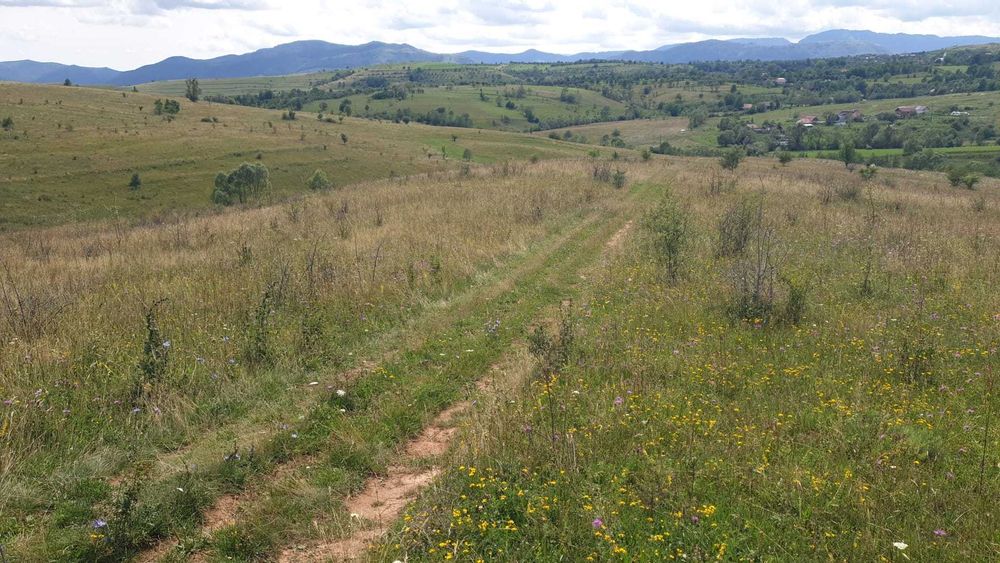 PF vand teren SALICEA, IARA extravilan,parcele de 3-500la5000mp CABANA