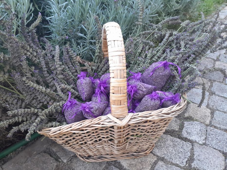 Суха лавандула 10 и 20гр.