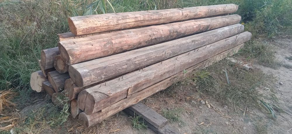 12 та тусин бор срочно сотилади 3.10