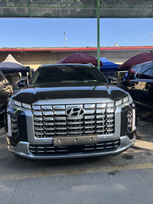 Hyundai palisade 2024