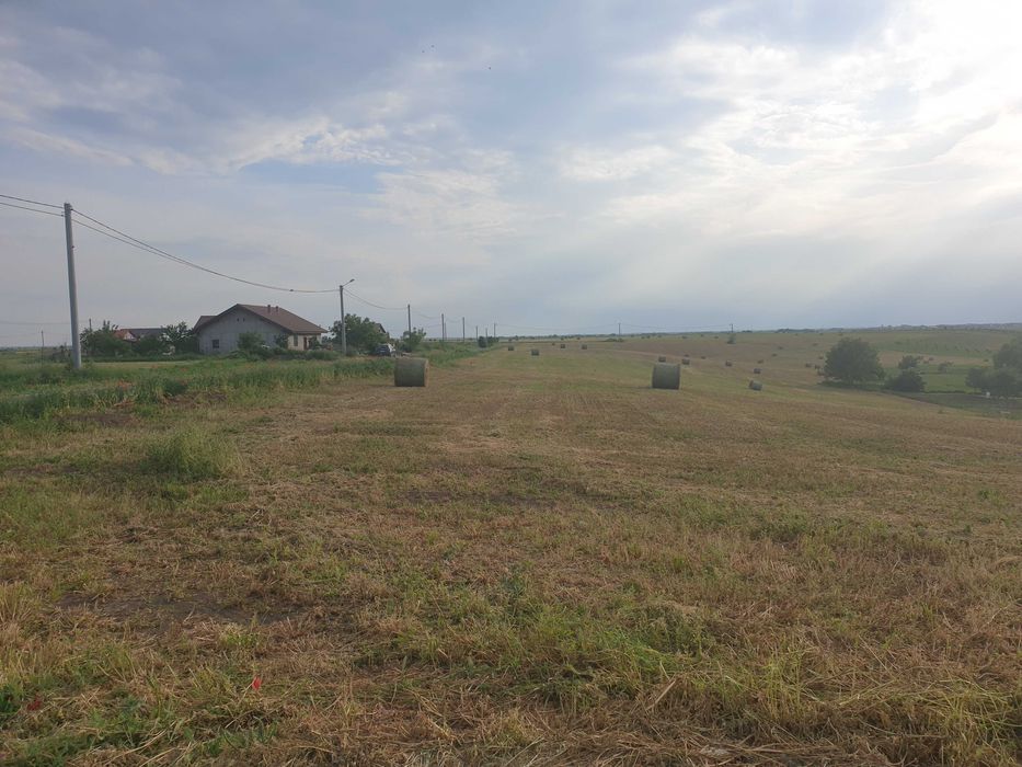 Teren Dudestii Noi - 642 mp