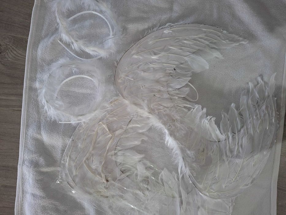 Costum ingeras copii