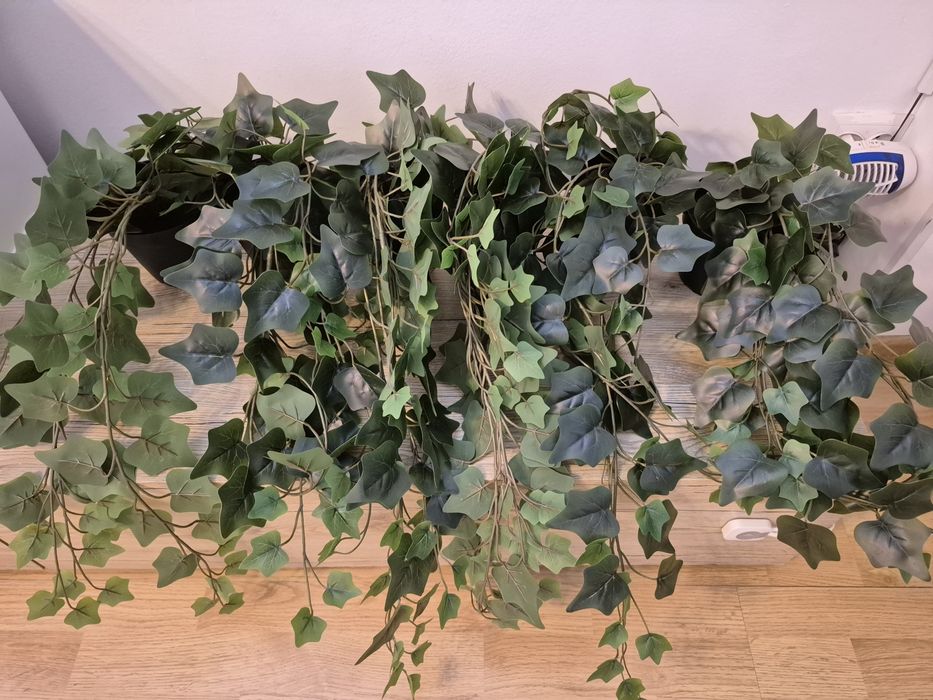 6 x Fejka Ikea plantă artificială iedera,interior/exterior/suspendată