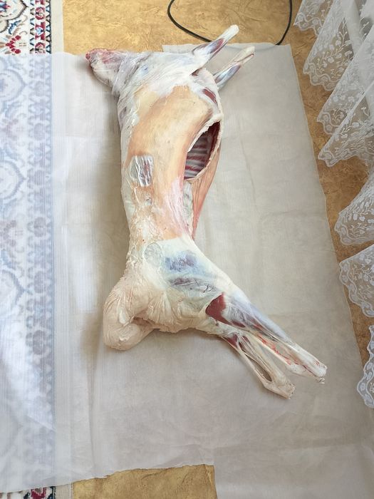 Койдын стагы арзан