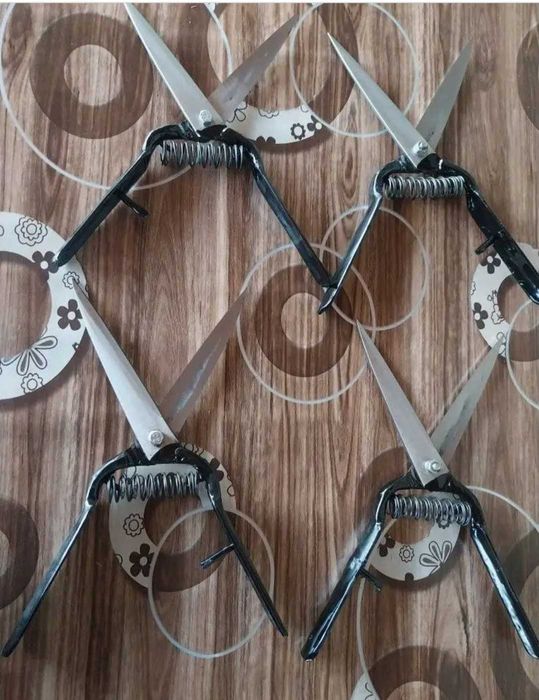 Ножици за подстригване на овце