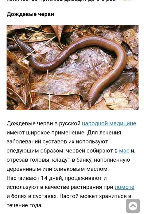 Продам червей Калифорнийских КРУПНЫЕ.