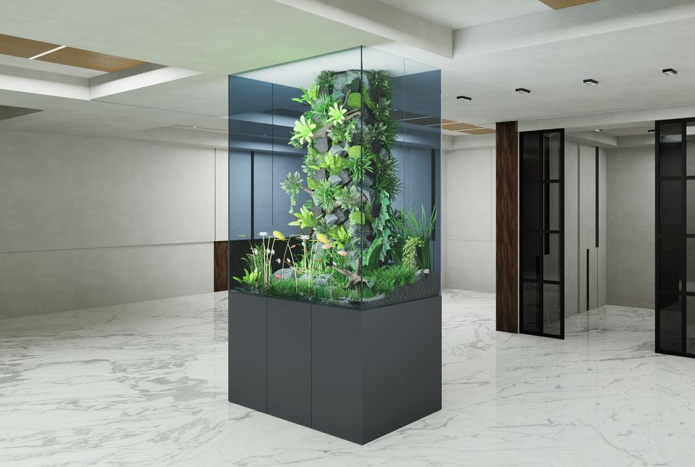 Палюдариум /Palydarium