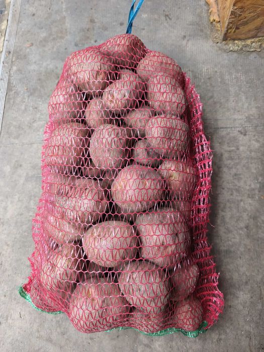 Vând cartofi consum