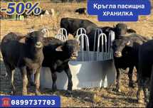 Топ оферта! Предлага различни видове хранилки за животни.