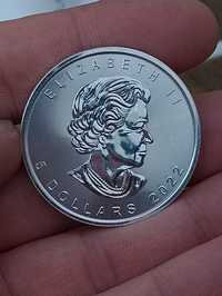 Moneda Argint PUR 5 Dollar 31g