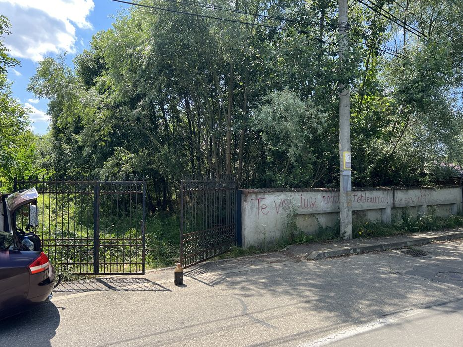 Curatare terenuri lasate in paragina