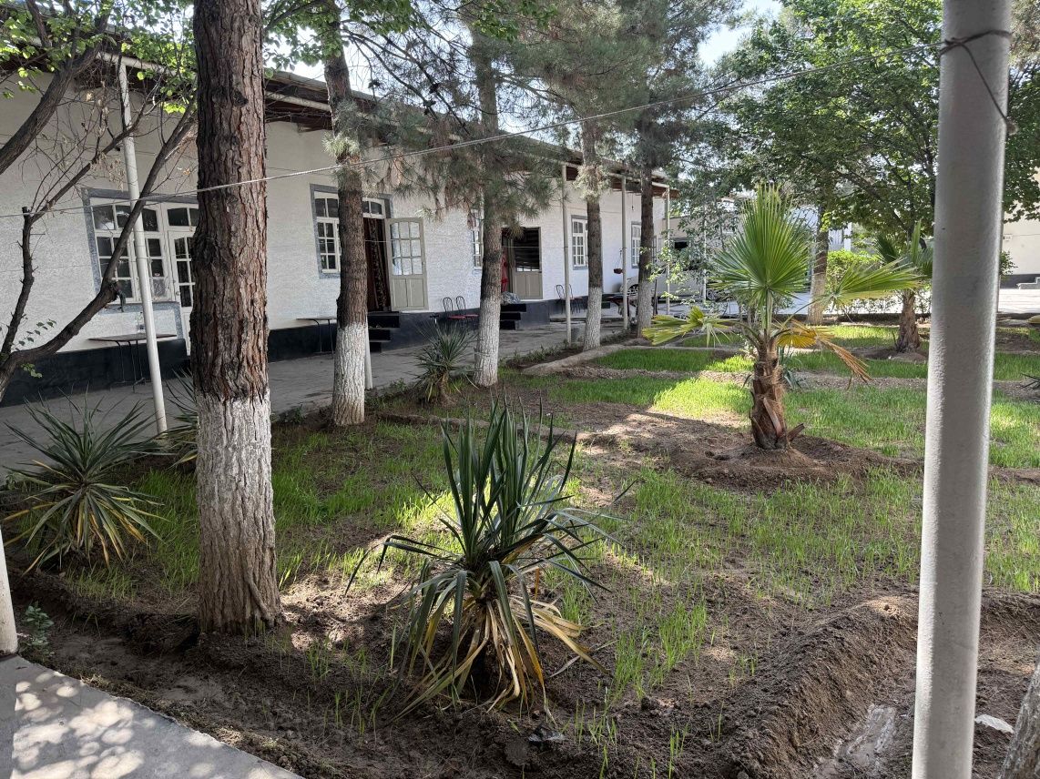 Baron hostel 50.000 ming