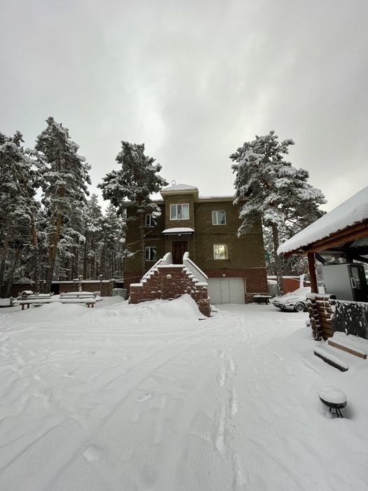 Дом в лесу Боровое