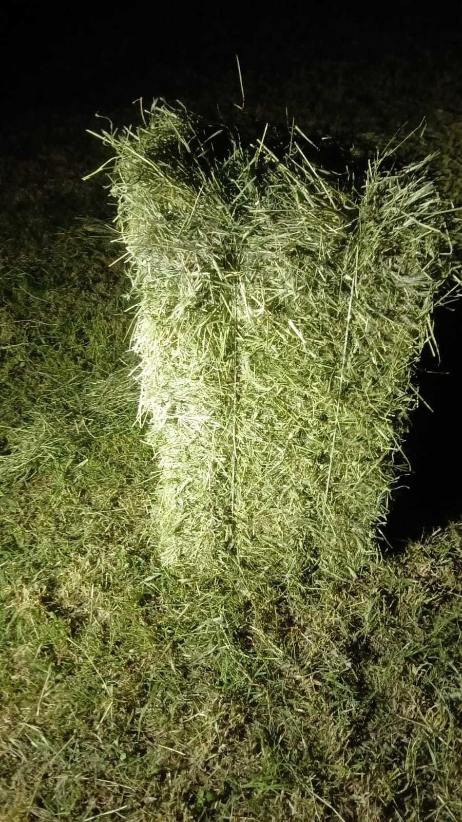 Продавам бали, 4 лв балята