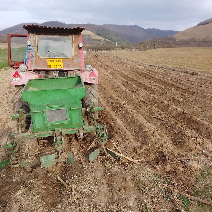 Semănătoare de cartofi