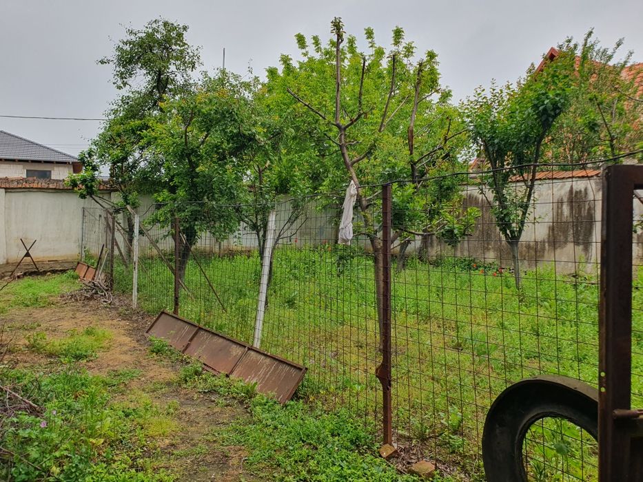 Vând loc casa in Moldova Veche suprafața 680mp
