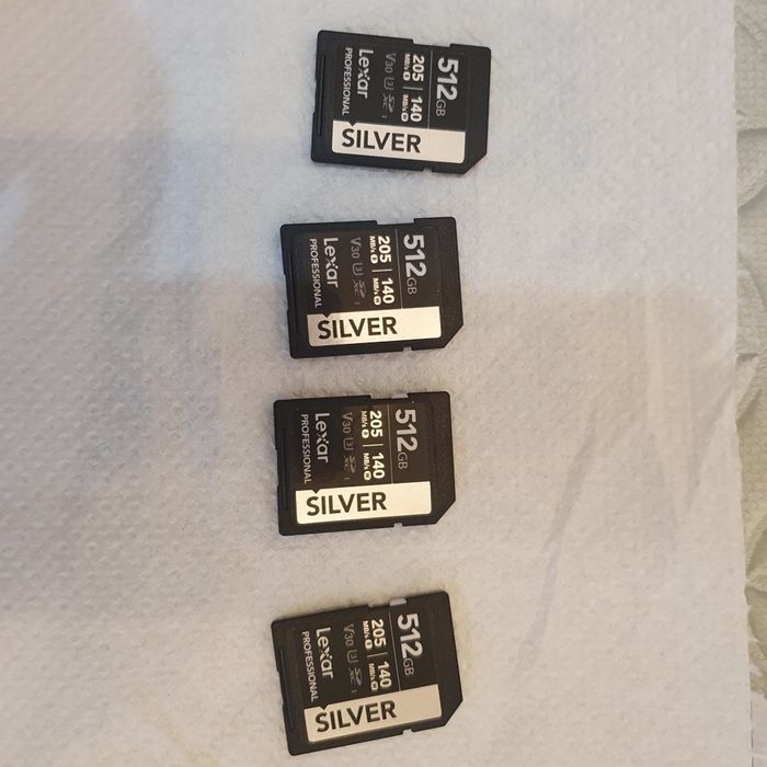 Carduri de memorie Sandisk