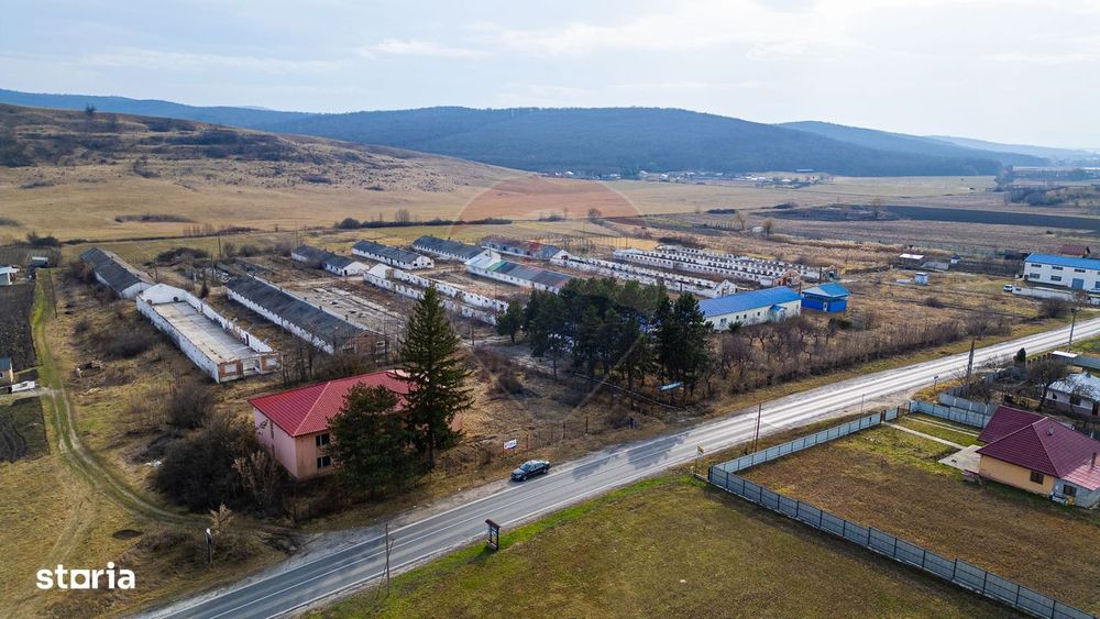 Teren  intravilan in sat Zapodia, com. Traian, jud. Bacău, 36.200mp,