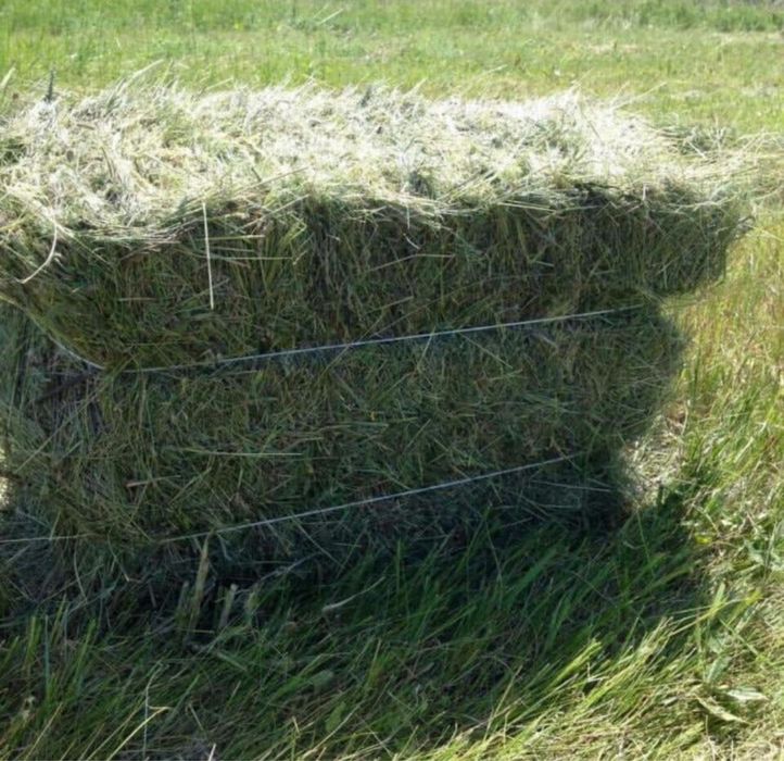 Сено тюковое качественное