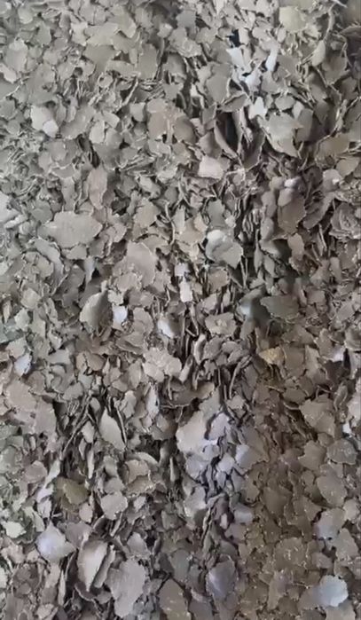 Продам жмых ,подсолнечный,рапсовый!