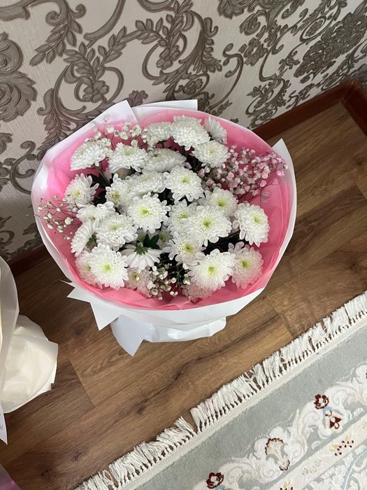 Гул         живой