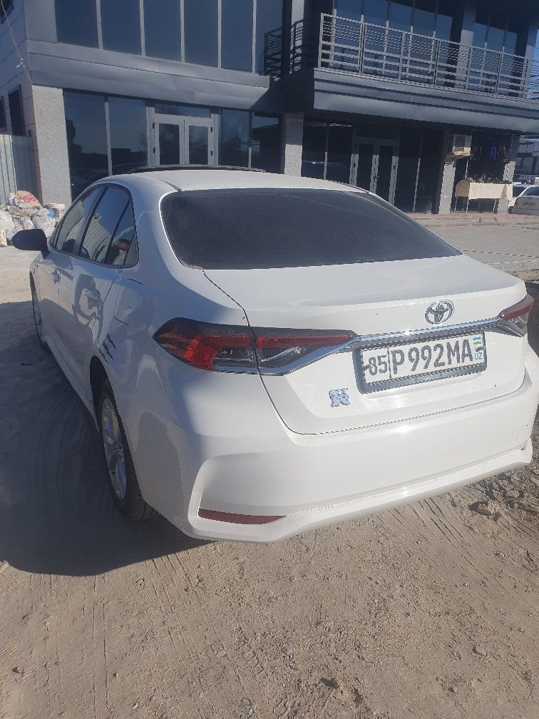 Toyota korolla yangi