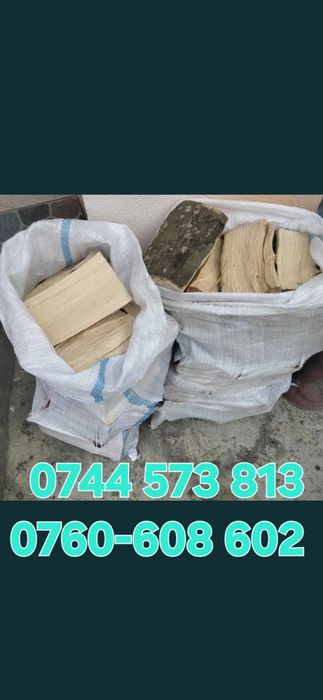 Nuci chandler.Aluni.Nuc negru.Forestier.Stejar.Paulownia.Plantare.>RO