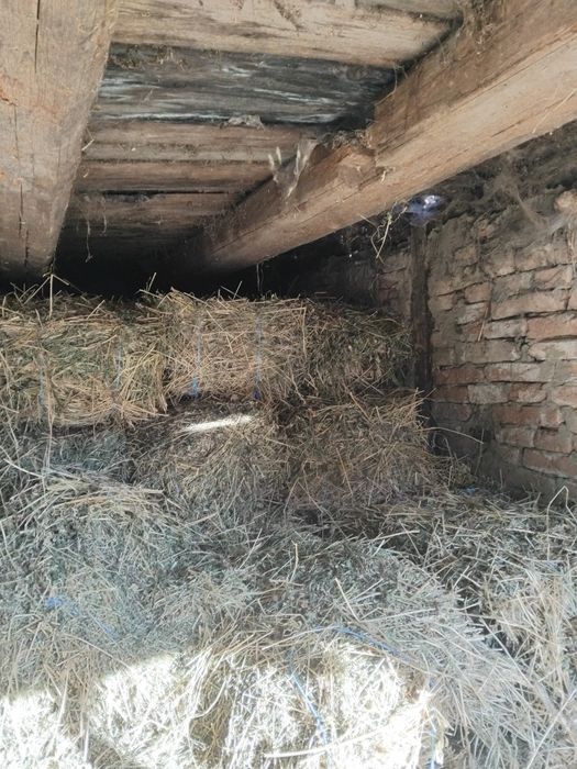 De vanzare peste 200 de baloti mici de lucerna vand si carata si ham