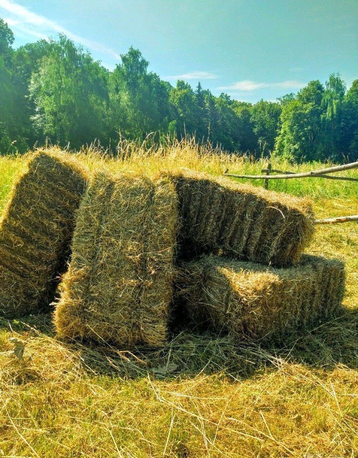Продается сено/ Тюки