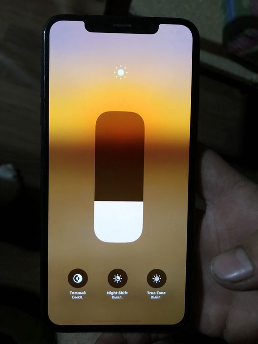 Iphone x s max 256g