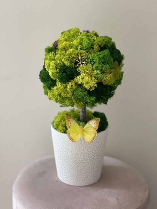 Trandafir criogenat cluj