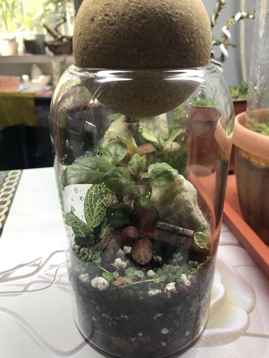 Продам флорик закрытый!