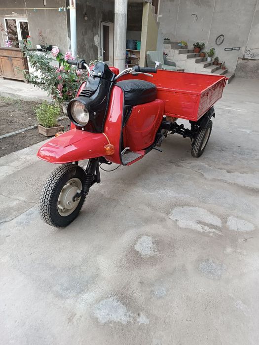 Motorol (муравей)