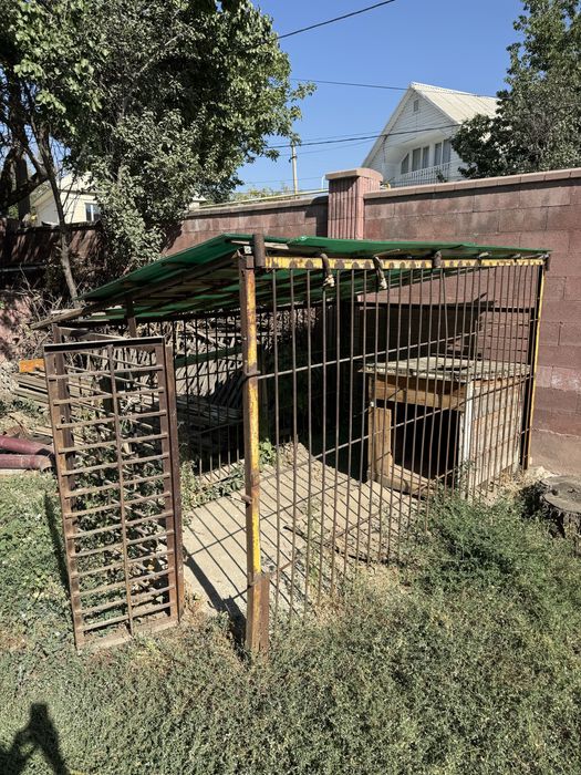 Вольер железный, капитальный