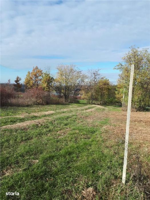 RECO Teren intravilan  Paleu