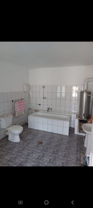 Casă de 130 mp utili + teren 1.321 mp – Lăpușnicu Mare, Caraș-Severin