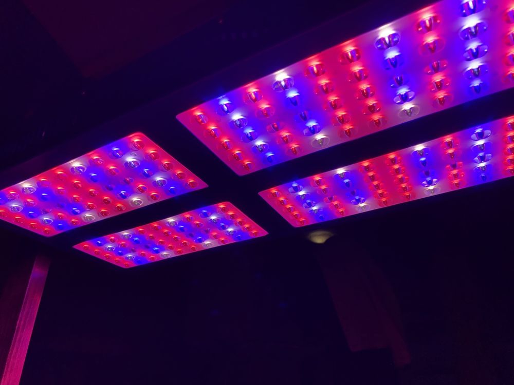 LED Grow Light Full Spectrum Reflector