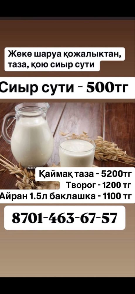 Молоко, айран, творог, сут, сметана, каймак