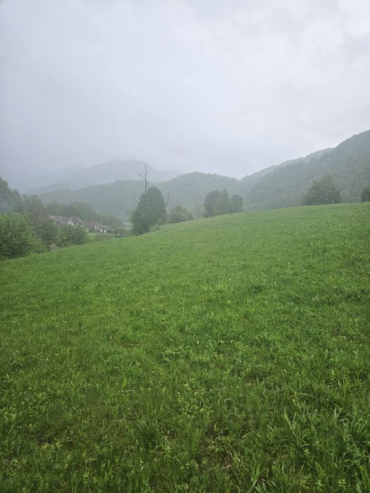 Vând teren intravilan Remeti