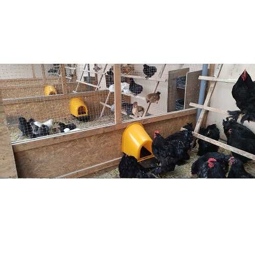 Гнездо за кокошки носачки, полог с колектор  V2  Безплатна доставка