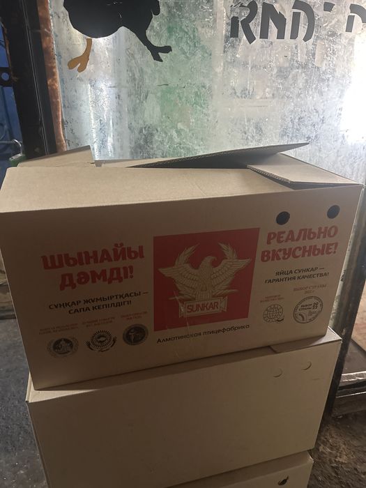 Продам коробки из под яйц