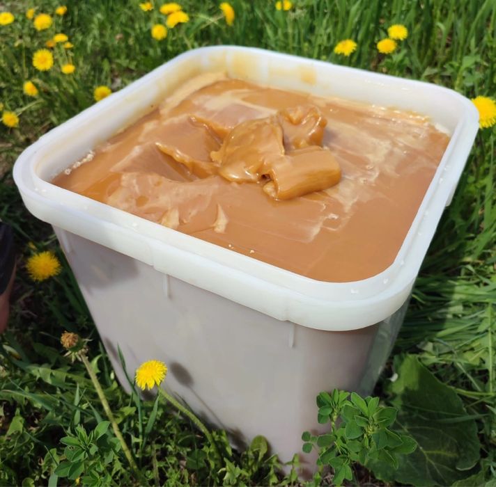 Свежий мёд Гречишный оптом и в розницу  (2025)