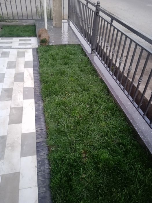 Sadovnik bogbon lanshaft tok darax archa gazon xizmati