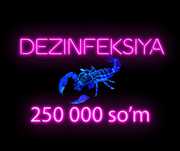 Уничтожение клопов дезинфекция клапа комар мух блох Dezinfeksiya