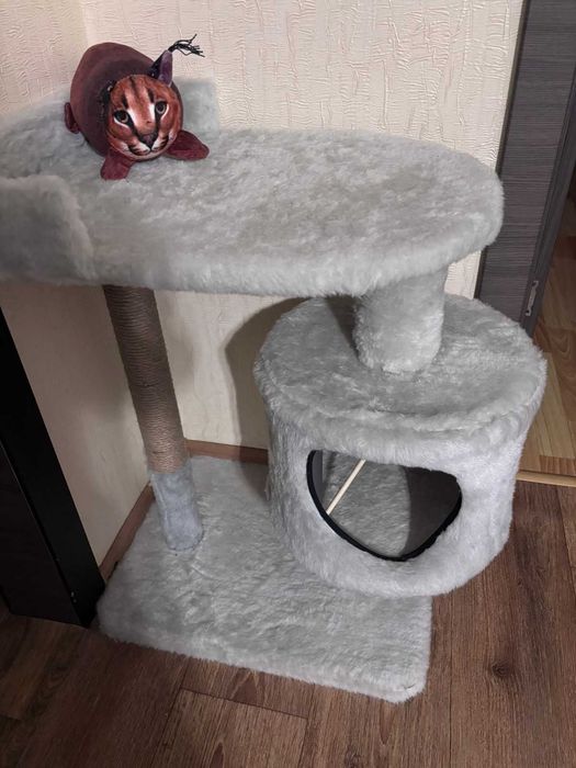 Продам домик для кошки + подарок!