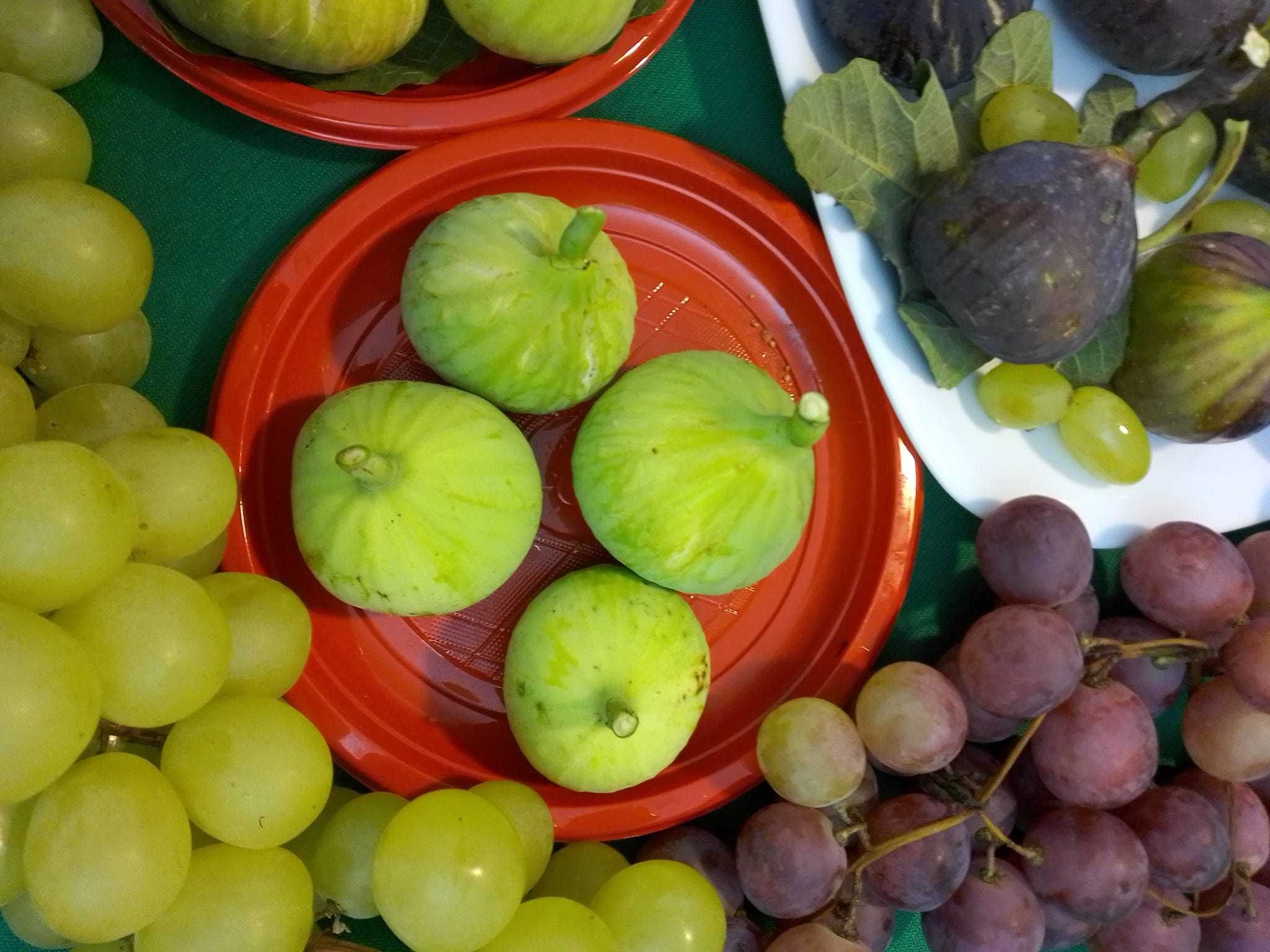 Smochin Românesc cu fruct Verde Craiova 130 - 170 cm la Ghiveci