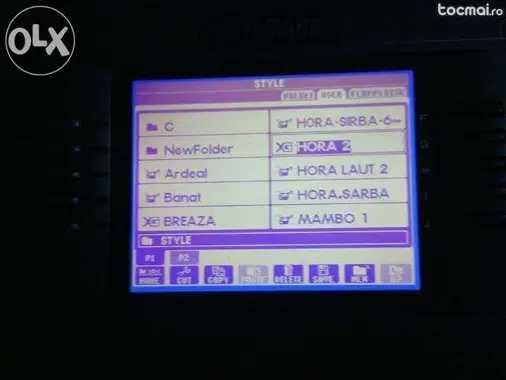 Ritmuri - Style-uri - dischetă floppy