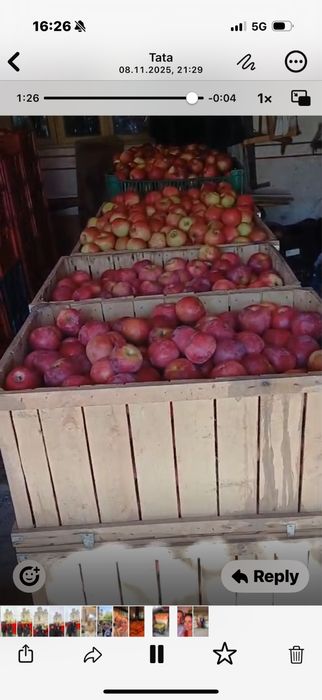 Mere de calitate superioara