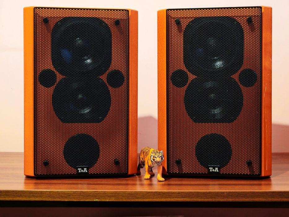 T+A Pulsar Tar 600E. Boxe nobile, audiofile. Preț fix !